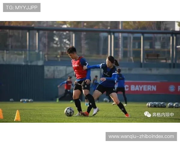 足球波胆是什么意思品牌入口下载评测避坑防骗